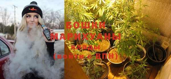 твердый Новодвинск