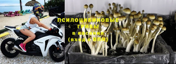 дурь Алзамай