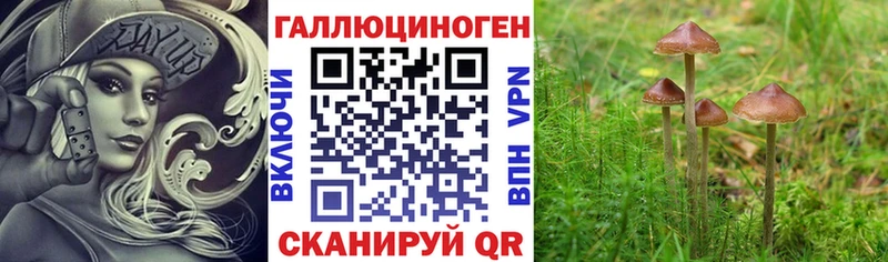 Галлюциногенные грибы мицелий  kraken рабочий сайт  Катайск 